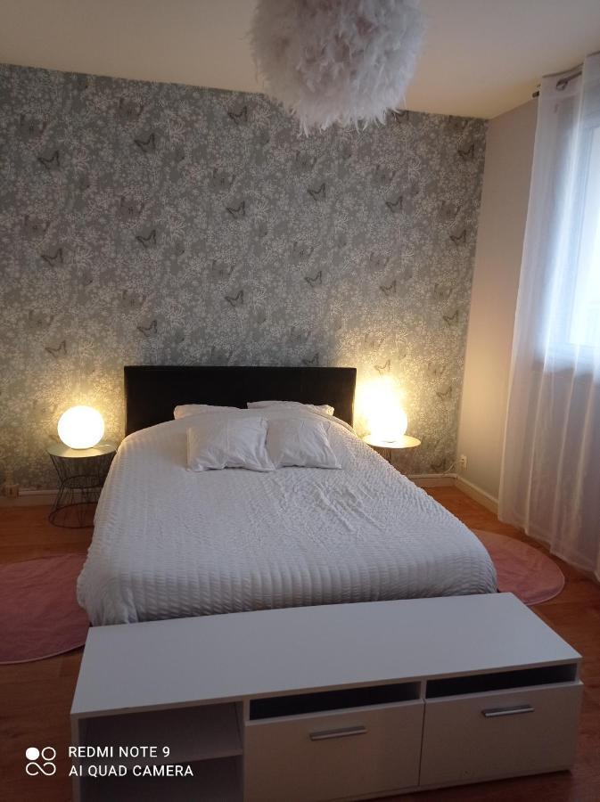 Le Cosy Lejlighed Vichy Eksteriør billede